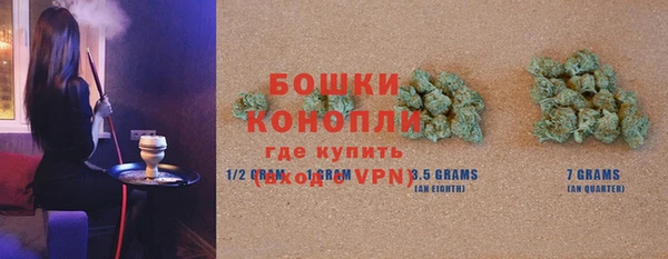 гашик Бородино