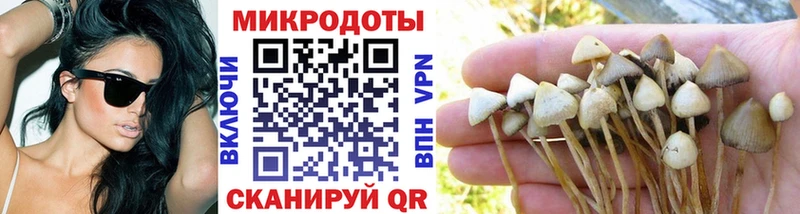 Псилоцибиновые грибы GOLDEN TEACHER  Трубчевск 